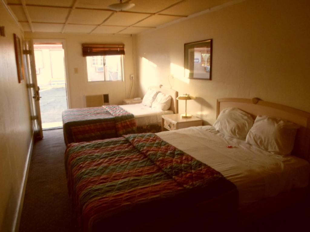 Desert Moon Motel Las Vegas Værelse billede